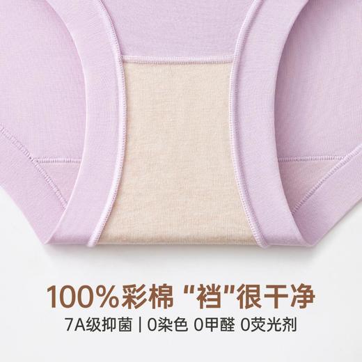 3部顶瓜瓜高腰简约玉肌棉女士内裤 33191-4 商品图3