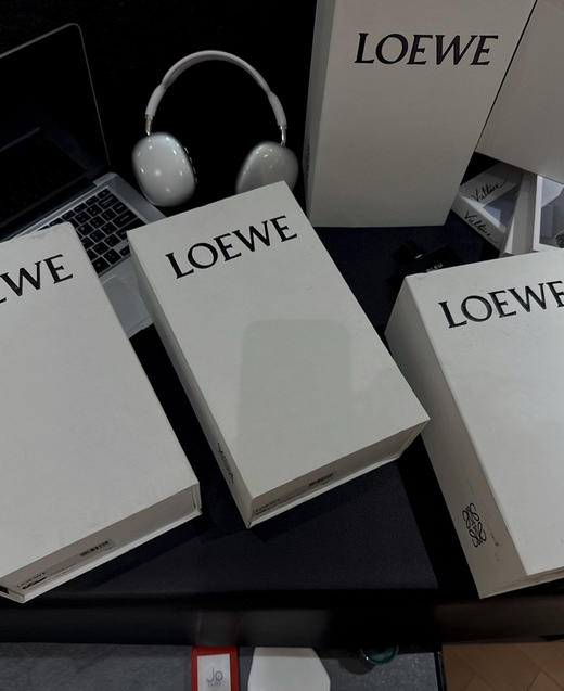 罗意威阿甘鞋休闲鞋运动鞋021203 商品图7