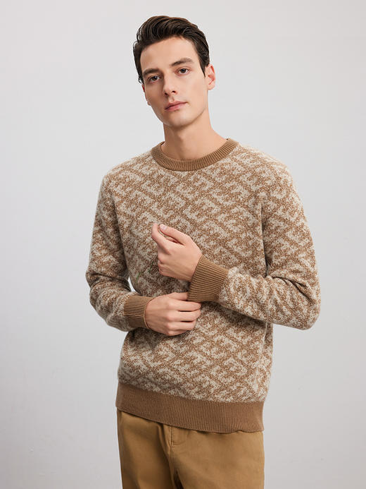 【提花羊绒套衫】羊绒世家秋冬新品男士100%山羊绒圆领套头保暖毛衣 商品图1