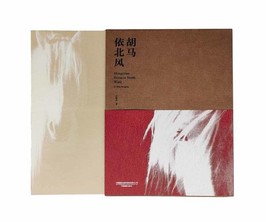 《胡马依北风》王争平摄影集 商品图4