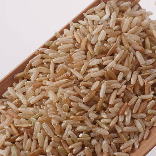 粳米特级正宗粳米中药材店铺大全煮粥梗米非糙米药用硬米新米500g 商品图2