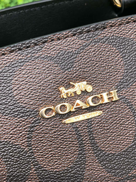 春季特惠💰520 蔻驰Coach 新款PVC小号戴妃包91494 手提单肩斜挎包 商品图4