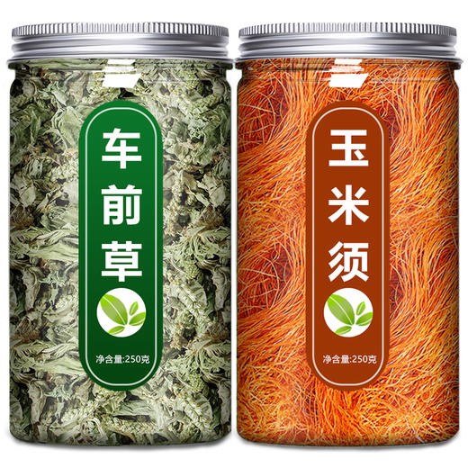 车前草玉米须茶野生干货官方旗舰店中药材正品新鲜纯泡水喝袋泡茶 商品图4