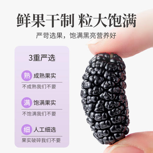 人参枸杞桑葚桂圆五宝茶桑椹红枣组合补气养血男强肾补精养生茶包 商品图3