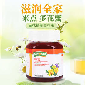 汪氏蜂蜜950g