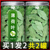 薄荷叶中药材新鲜天然梗干草药食用泡水泡茶粉散装药用薄何茶500g 商品缩略图0