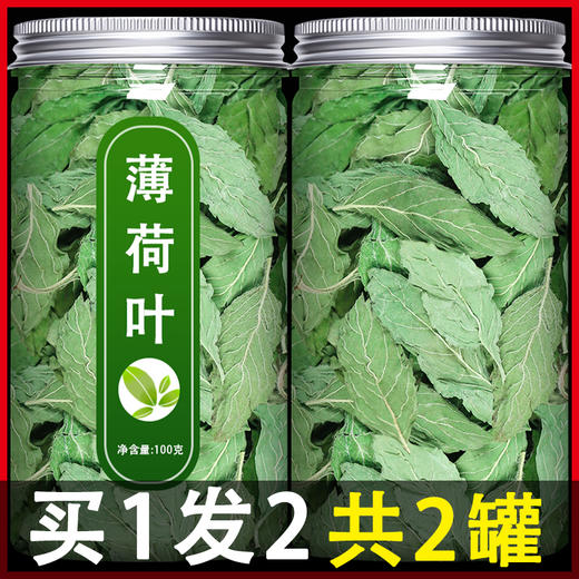 薄荷叶中药材新鲜天然梗干草药食用泡水泡茶粉散装药用薄何茶500g 商品图0