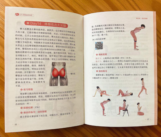 21天练出好体态 商品图2