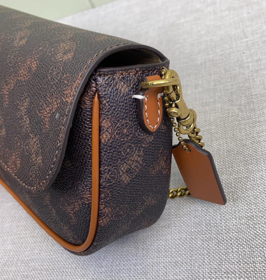 春季特惠💰470 蔻驰Coach新款CAN90 CAN91 CAN92 Brook Chain bag轻巧又耐看的法棍包 商品图5