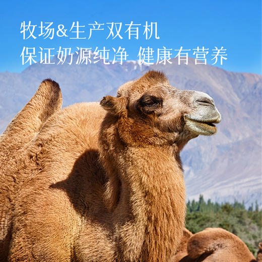 有机驼奶粉  100%纯生鲜驼乳“沙漠白金”，高营养好冲泡，460g大容量 商品图4