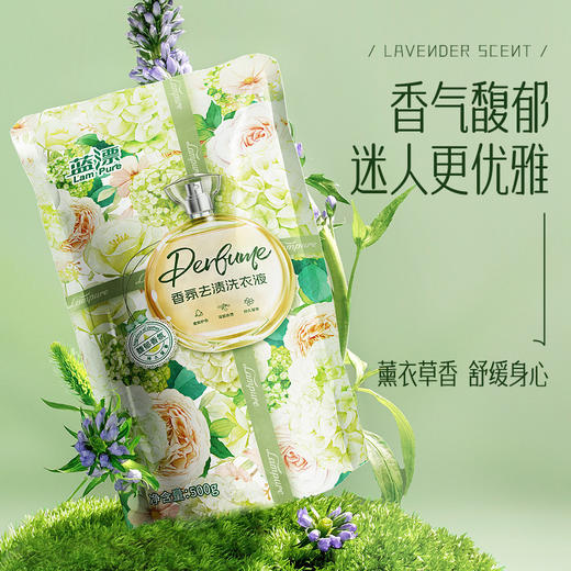 「薰衣草香」蓝漂洗衣液500g 居家日用手洗机洗通用薰衣草芳香型袋装补充装500g清洁工具 商品图0