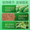 吉林敖东金奥力苦瓜荞麦桑叶胶囊辅助降血糖食品保健正品非降糖茶 商品缩略图3