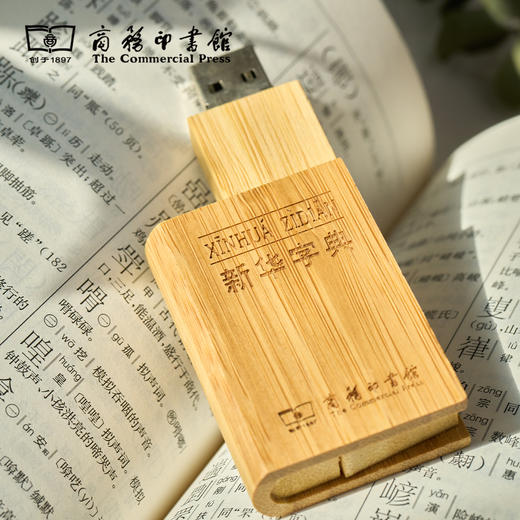 【商务印书馆涵芬文创】新华字典U盘（空白优盘，内存128G） 商品图6