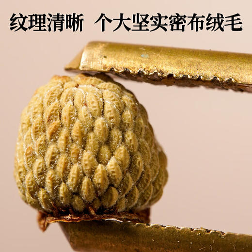 覆盆子中药材正品官方旗舰店鲜果野生覆棚子干酒泡水喝泡茶的功效 商品图2