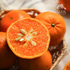 生态云南沃柑 | 合作生产* Ecological Orah  | Coproduction 商品缩略图3
