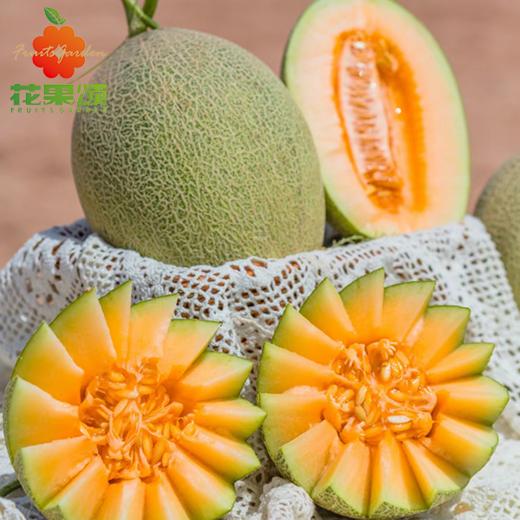【整装鲜果】海南脆甜哈密瓜 1个约2000g 商品图0