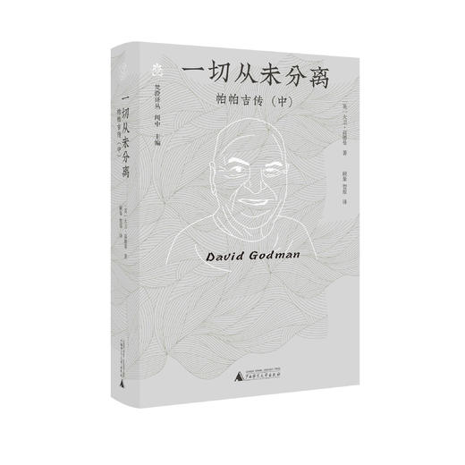 纯粹·梵澄译丛 一切从未分离 帕帕吉传（中）大卫·高德曼 /著 顾象 智原/译 商品图1