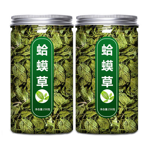 蛤蟆草中药材新鲜野生赖癞蛤蟆草茶河马草干雪见草的功效作用泡水 商品图4