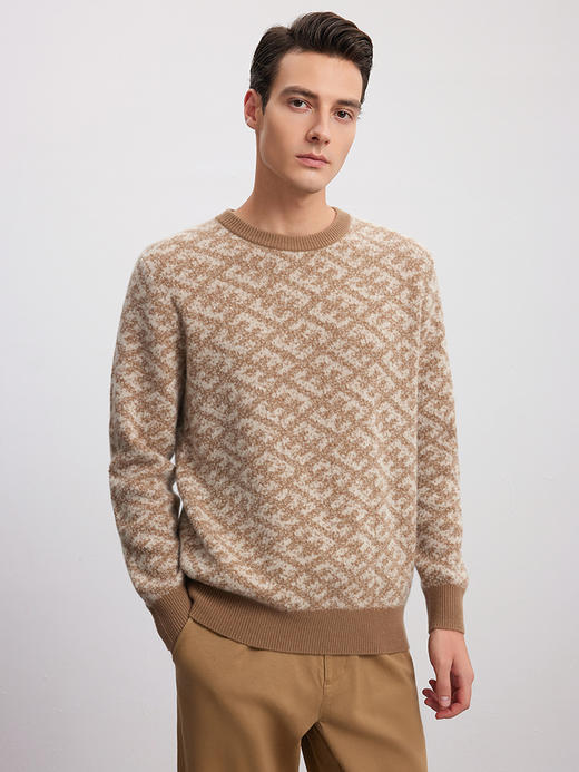 【提花羊绒套衫】羊绒世家秋冬新品男士100%山羊绒圆领套头保暖毛衣 商品图2