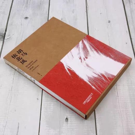 《胡马依北风》王争平摄影集 商品图3