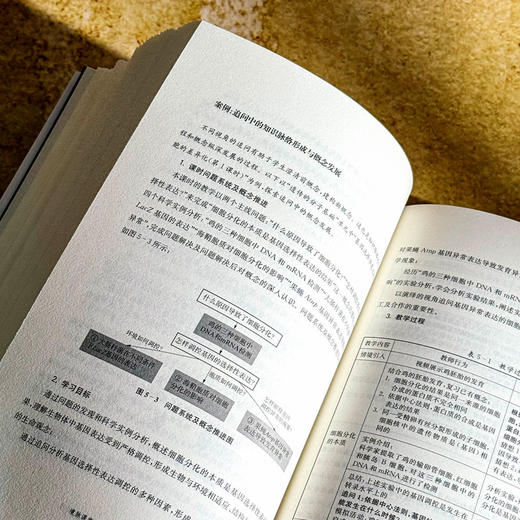 境脉课堂 高中生物学问题化学习 高中生物学教学 问题化学习丛书 商品图11