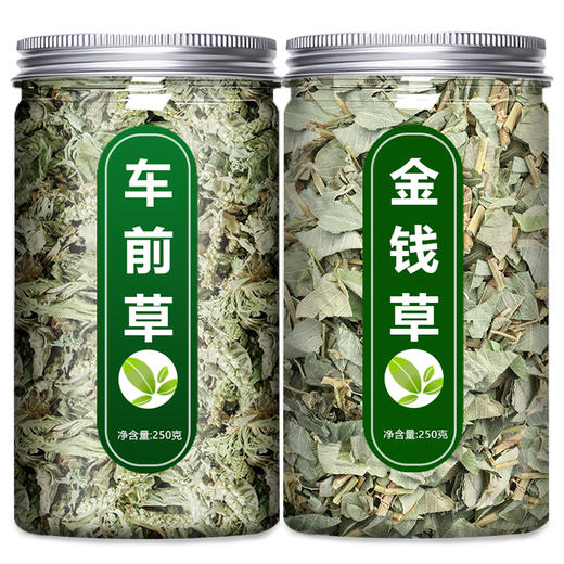 车前草金钱草中药材新鲜野生正宗干货官方旗舰店袋泡茶水喝中草药 商品图4