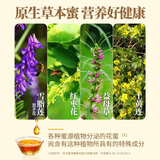 【汪氏】雪脂莲蜜465g 商品图2