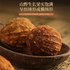 益智仁中药材正品官方旗舰店野生状元果泡水益知的功效与作用500g 商品缩略图3