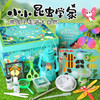 【小小昆虫学家】春天儿童玩具先生户外套装观察盒手工diy科学实验蝴蝶灯 商品缩略图0