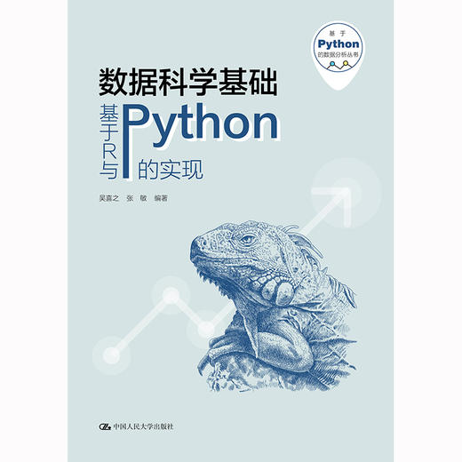 数据科学基础——基于R与Python的实现（基于Python的数据分析丛书） 商品图0