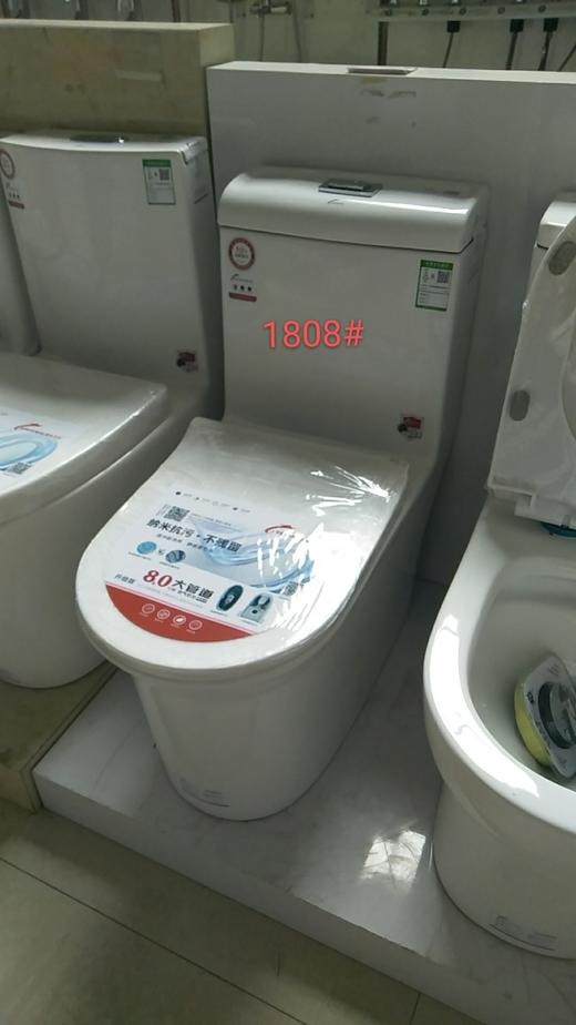 镱龙 广东坐便器 1808 双孔大管道 商品图0
