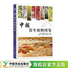 《中国盐生植物图鉴》中国农业出版社 正版-分销 商品缩略图1