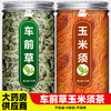 车前草玉米须茶野生干货官方旗舰店中药材正品新鲜纯泡水喝袋泡茶 商品缩略图0