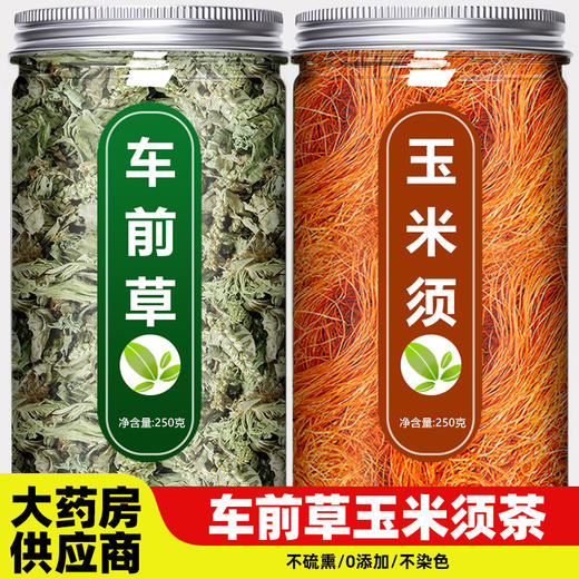 车前草玉米须茶野生干货官方旗舰店中药材正品新鲜纯泡水喝袋泡茶 商品图0