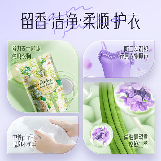 「薰衣草香」蓝漂洗衣液500g 居家日用手洗机洗通用薰衣草芳香型袋装补充装500g清洁工具 商品图3