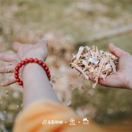 生态土壤修复（回到土壤）【线下】课程 商品图3