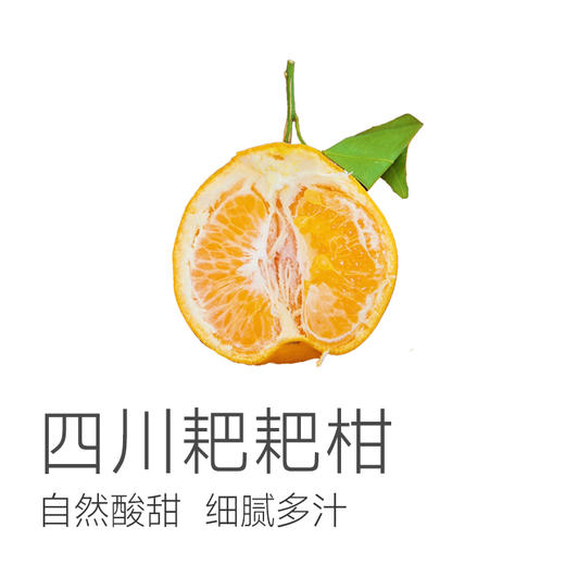 【集甜、香、嫩、多汁于一身的柑橘  春见耙耙柑】自然成熟的好果子  黄金酸甜比  清甜多汁  无核无渣  一口春天 一口春见 自然酸甜 粒粒分明~ 商品图1