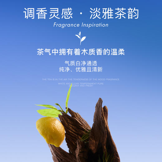 【双12】Secrethem他秘 麦迪逊大道香水 商品图3