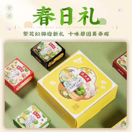 【中华老字号】沈大成 繁花似锦团圆汇 2盒装 600g*2 商品图1