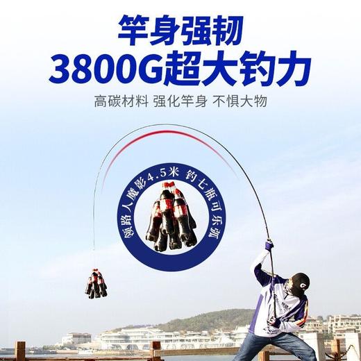 领路人蓝魔影综合竿 商品图1