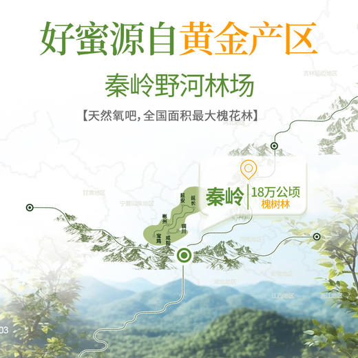 【汪氏】洋槐蜜240g 小包装12g*20条 商品图2