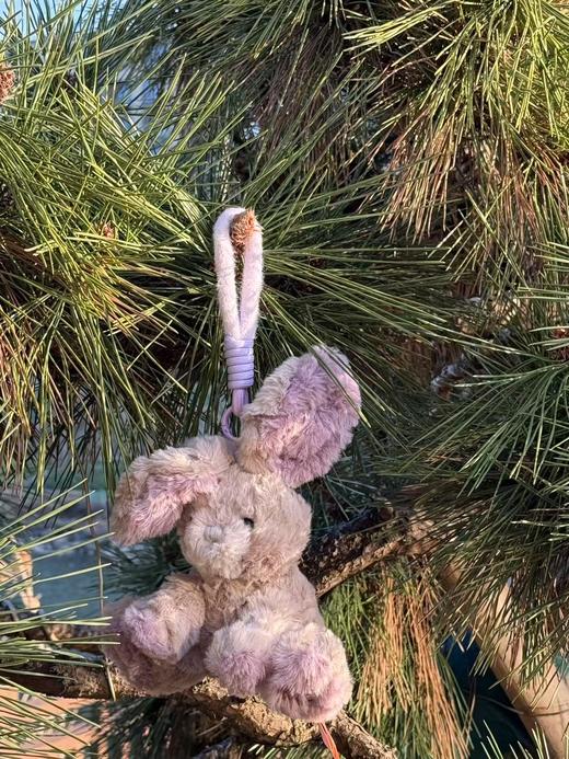 Meet-Edinburgh |大耳野兔 商品图0