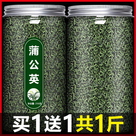 蒲公英散结茶官方旗舰店中药材正品特级野生新鲜婆婆丁根浦公英干 商品图0