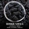 新疆桑葚干黑桑椹子官方旗舰店特级新鲜野生干果泡水泡茶中药500g 商品缩略图1