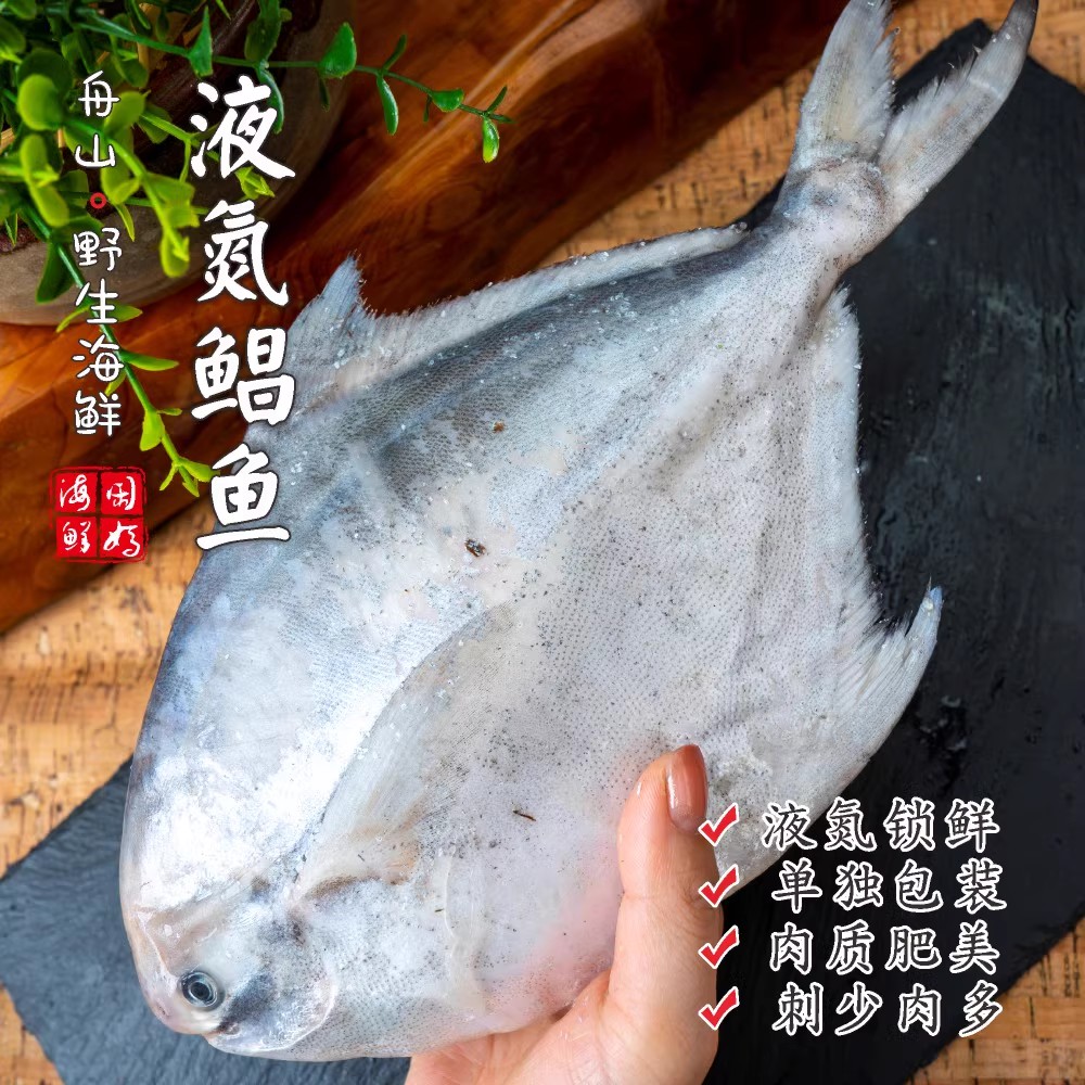 【闹妈】[鲜冻]舟山大银鲳鱼 各种规格 按条卖