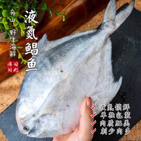 【闹妈】[鲜冻]舟山大银鲳鱼 各种规格 按条卖