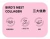 燕窝血耳胶原蛋白多肽饮小分子肽 商品缩略图5