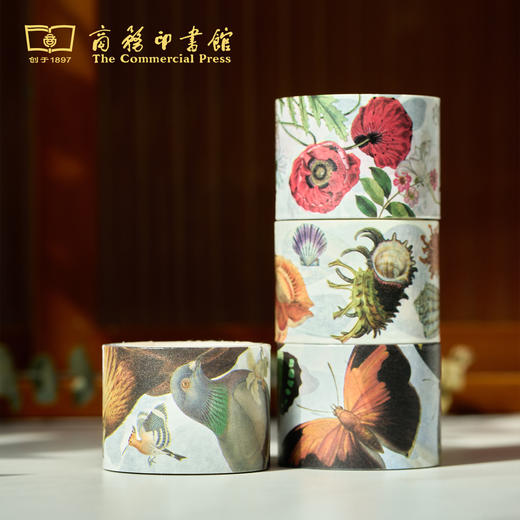 科普胶带（独立包装） 商品图1