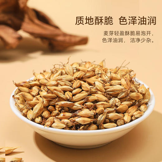茯苓炒麦芽茶包中药材正品官方旗舰店伏苓和大加干货500g特级泡水 商品图1