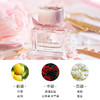 【航免仓】BURBERRY博柏利我的博柏利花之绯女士香水90ML 商品缩略图1